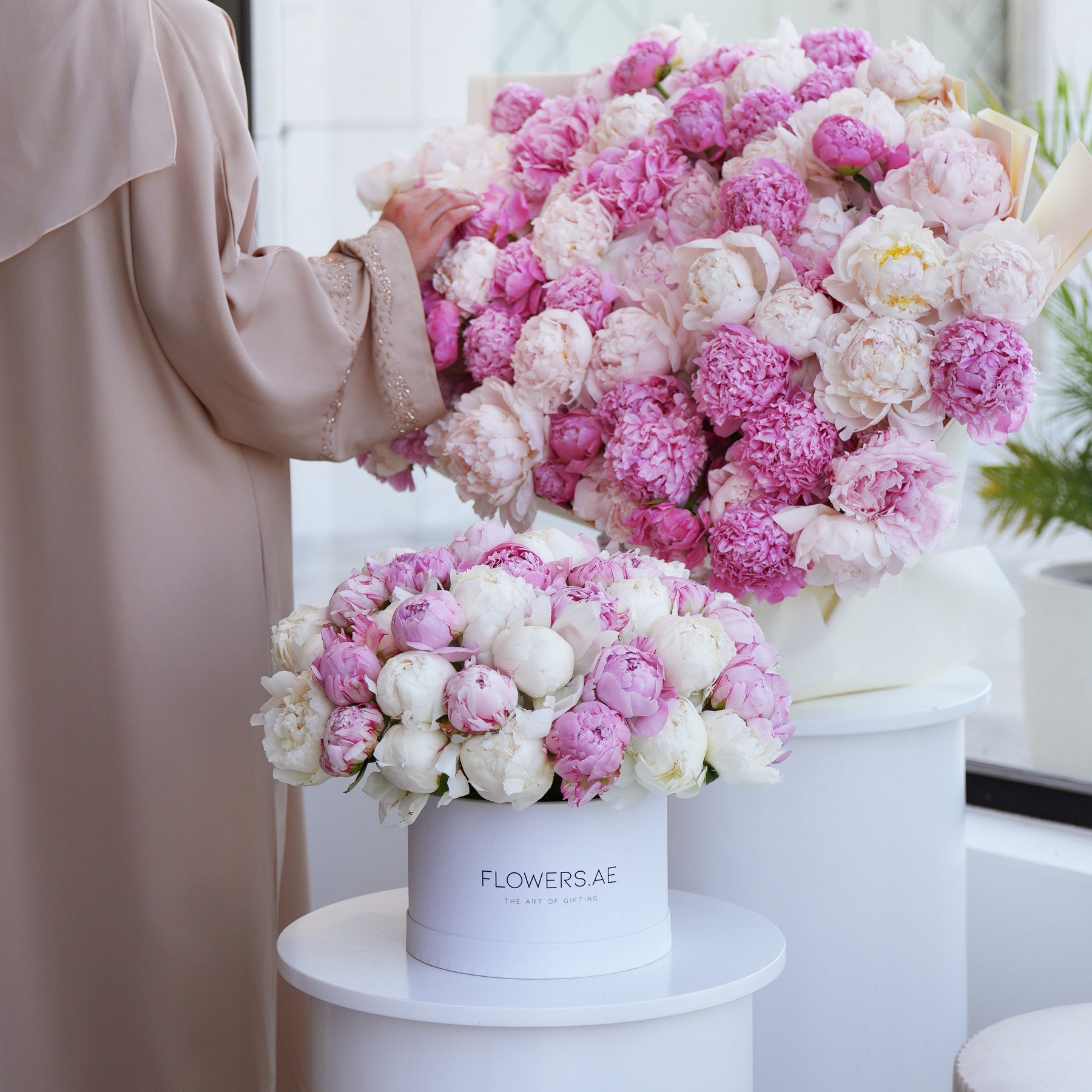 Peony Flowers: What They Mean and What To Know