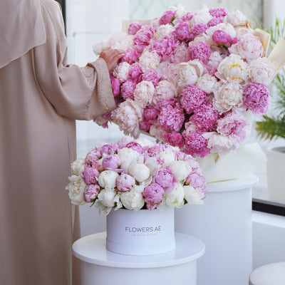 Peony Flowers: What They Mean and What To Know