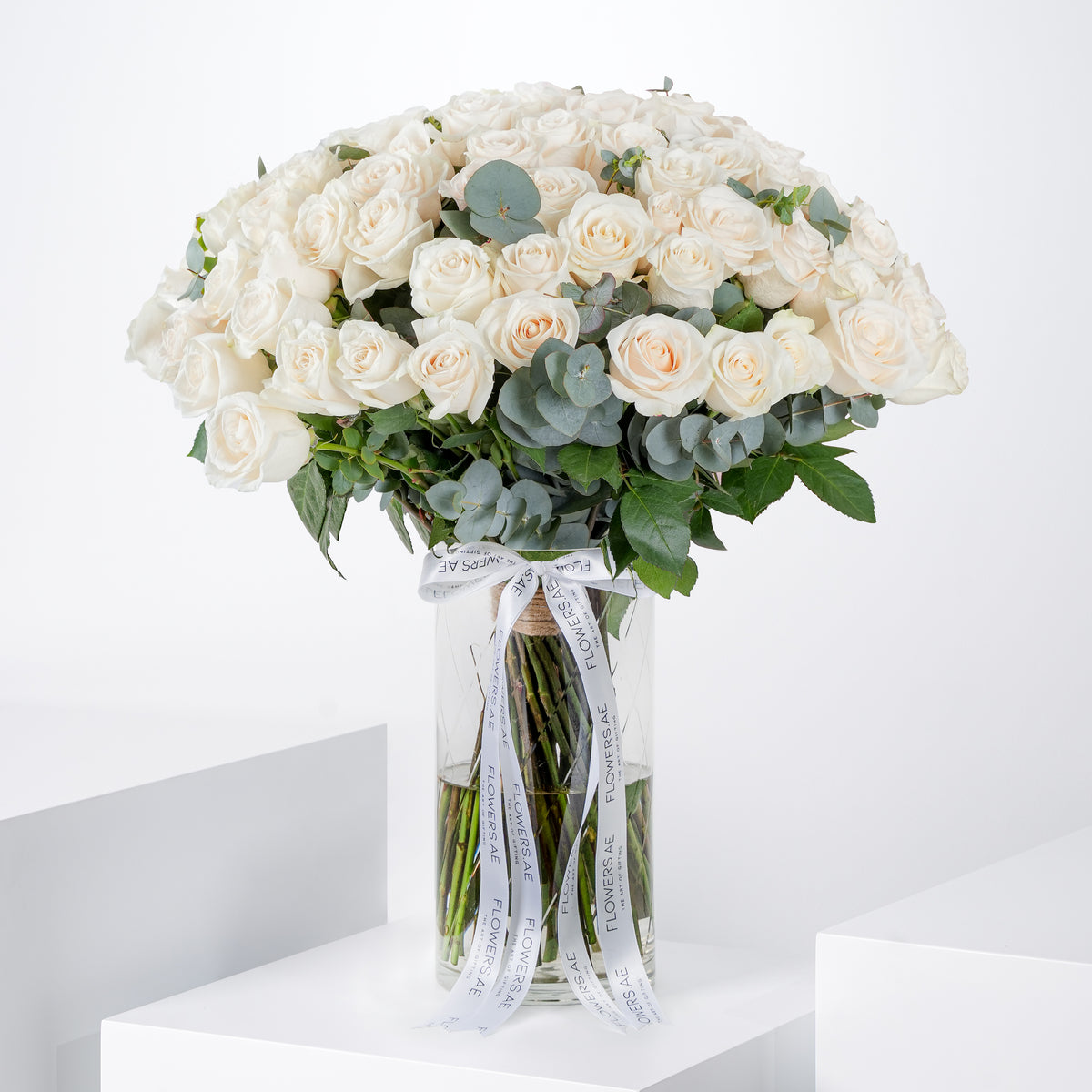 Valentine 100 White Roses  Vase