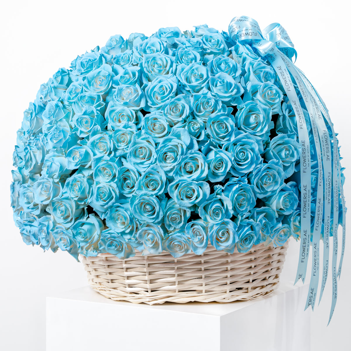 365 Tiffany Blue Roses Basket