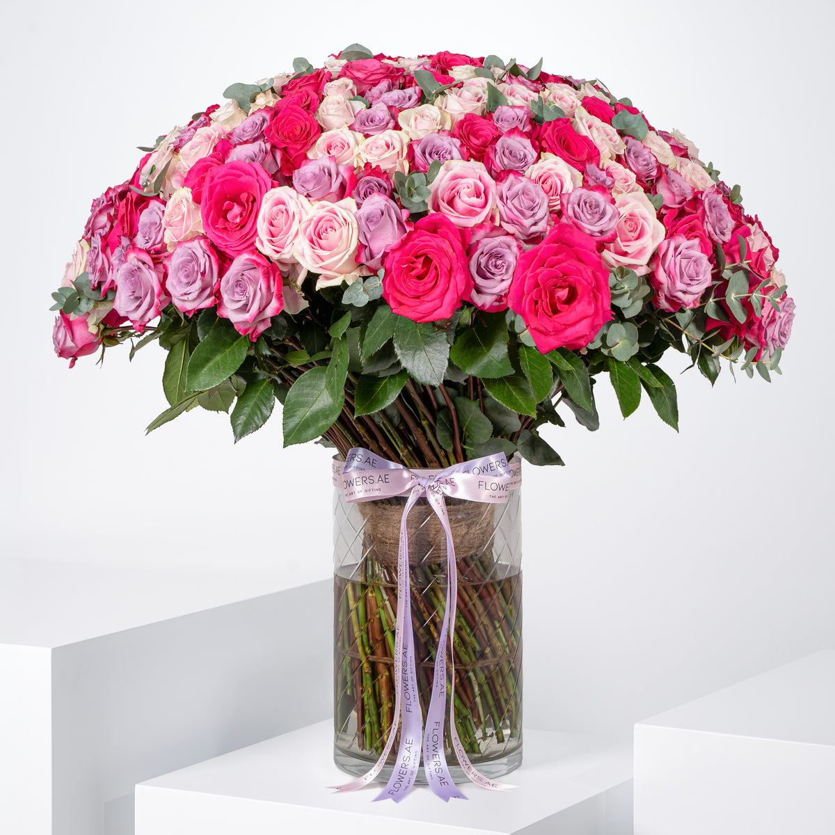 200 Blush Roses Vase