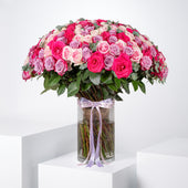 200 Blush Roses  Vase