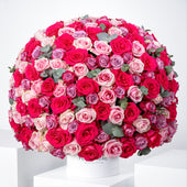 365 Blush Roses  Hatbox