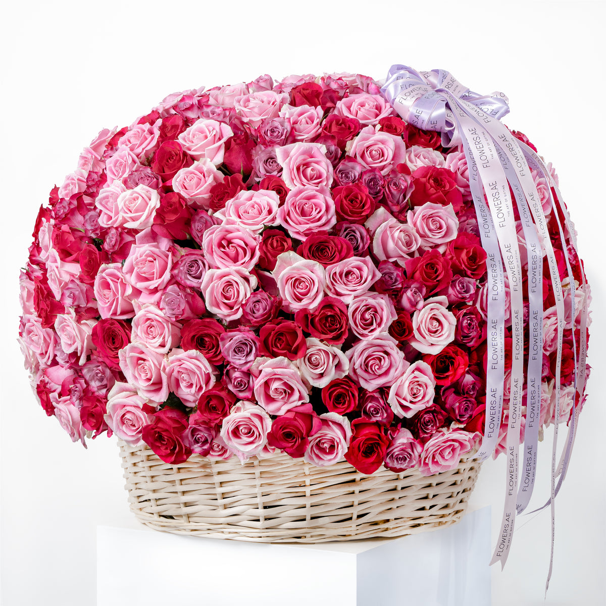 500 Blush Roses Basket