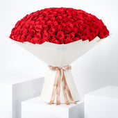 365 Red Roses