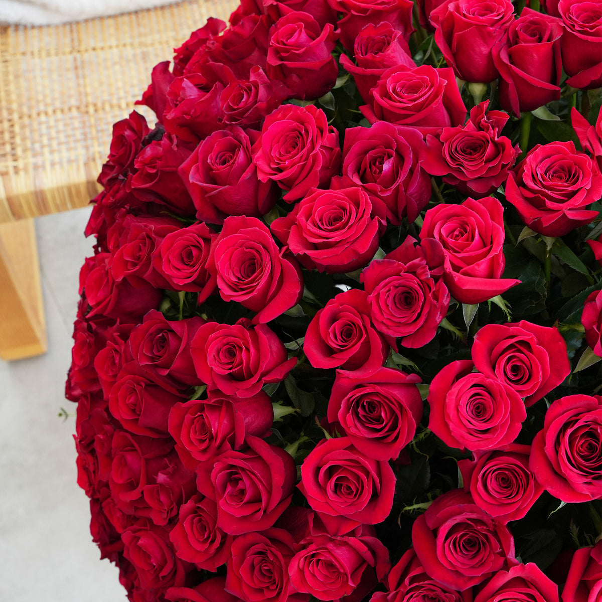 500 Red Roses  XXL