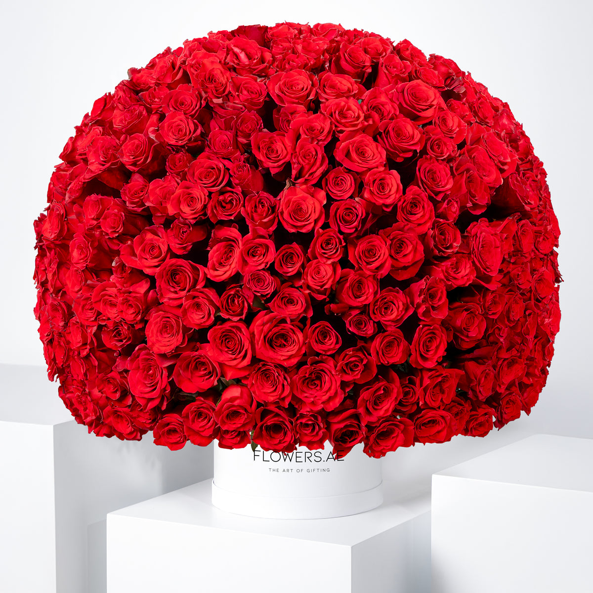 365 Red Roses Hatbox