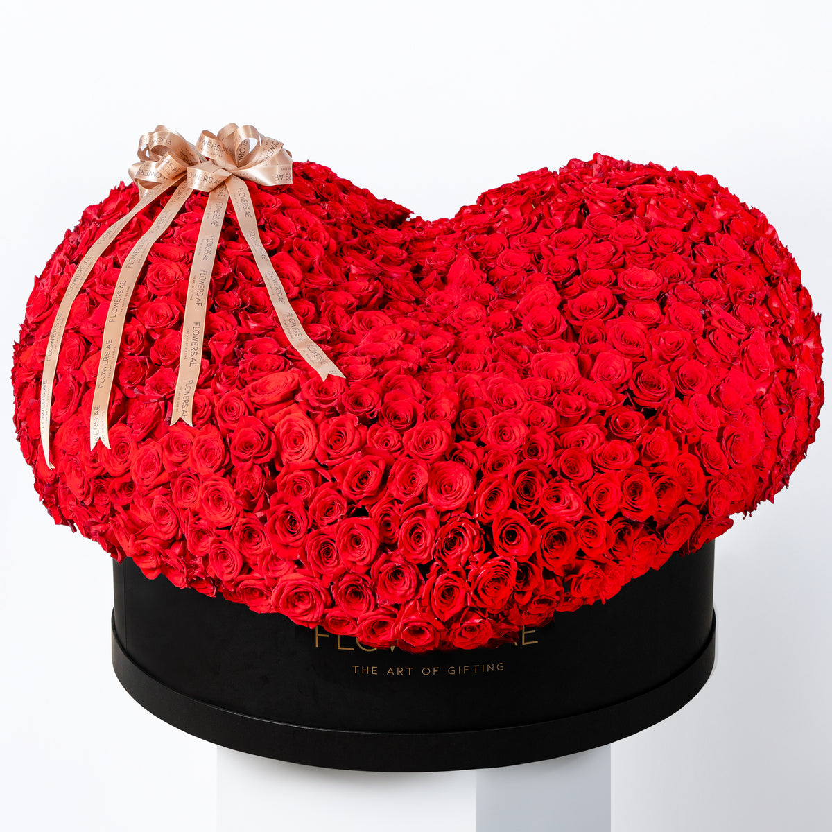 Valentine 3D Heart - XXXL Hatbox