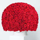 500 Red Roses  XXL