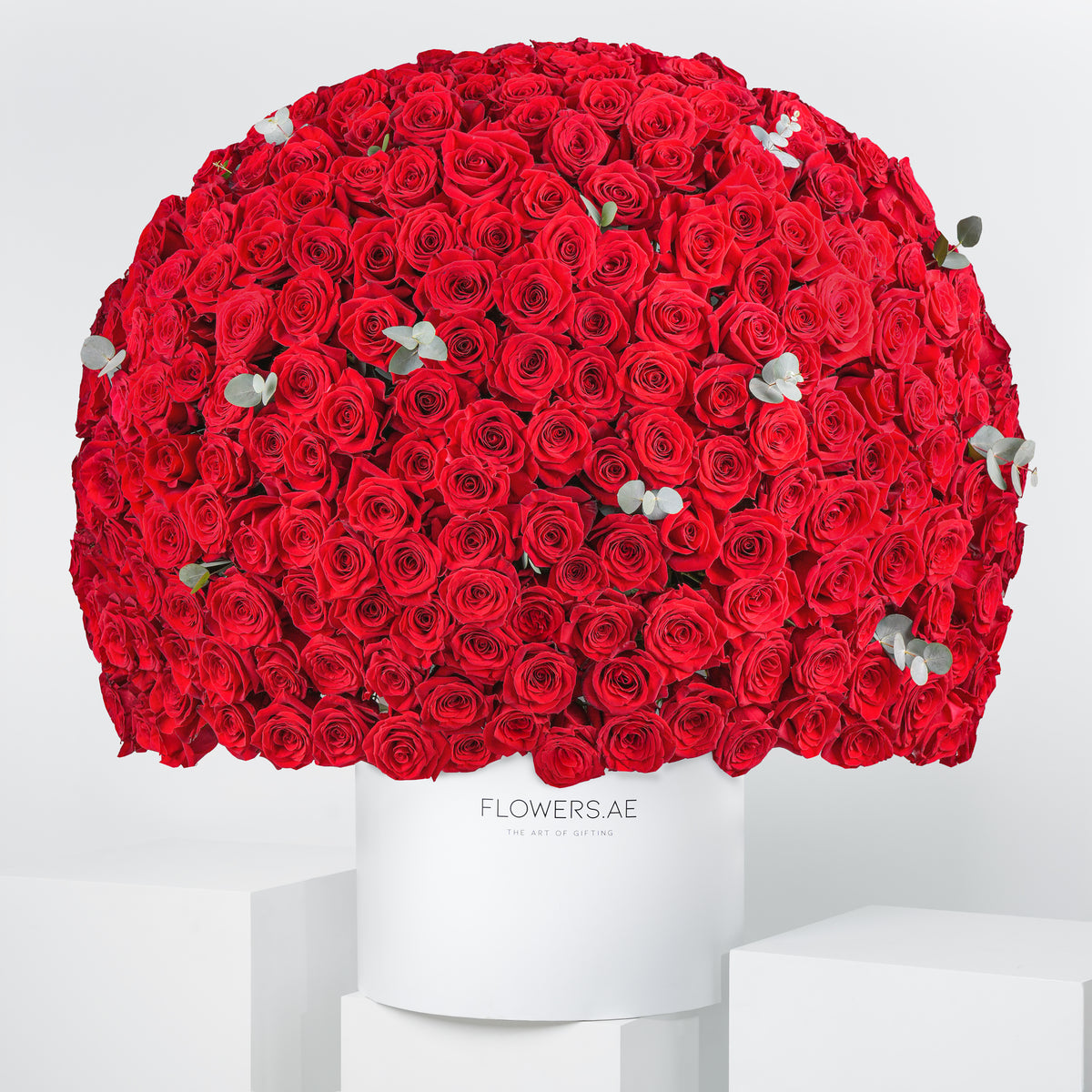 Valentine 500 Red Roses - XXL