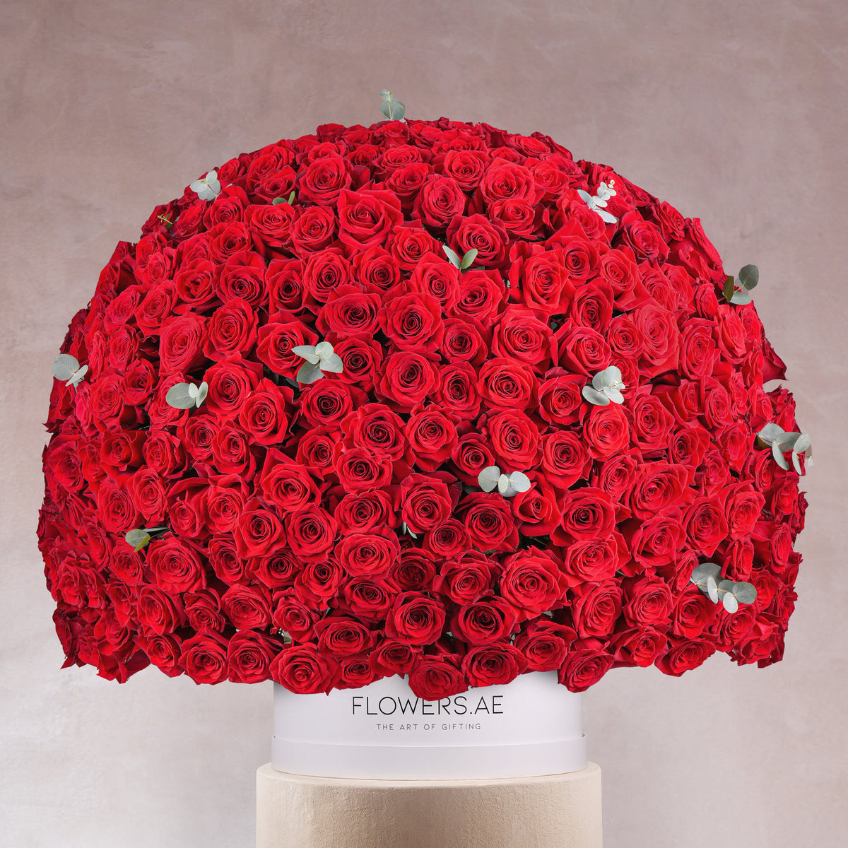 500 Red Roses  XXL