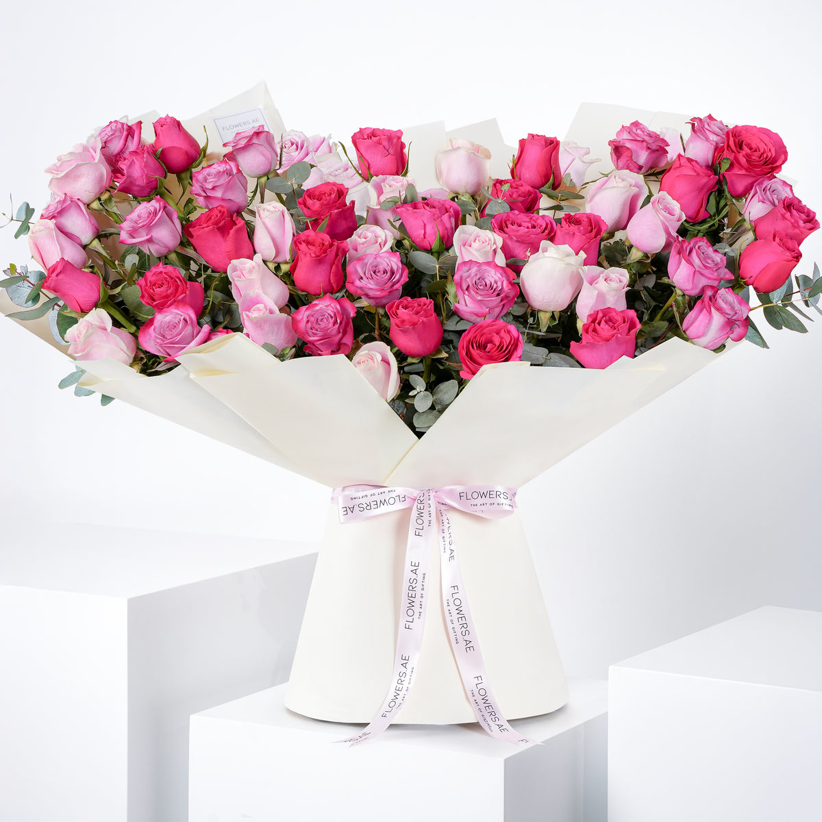 50 Blush Roses