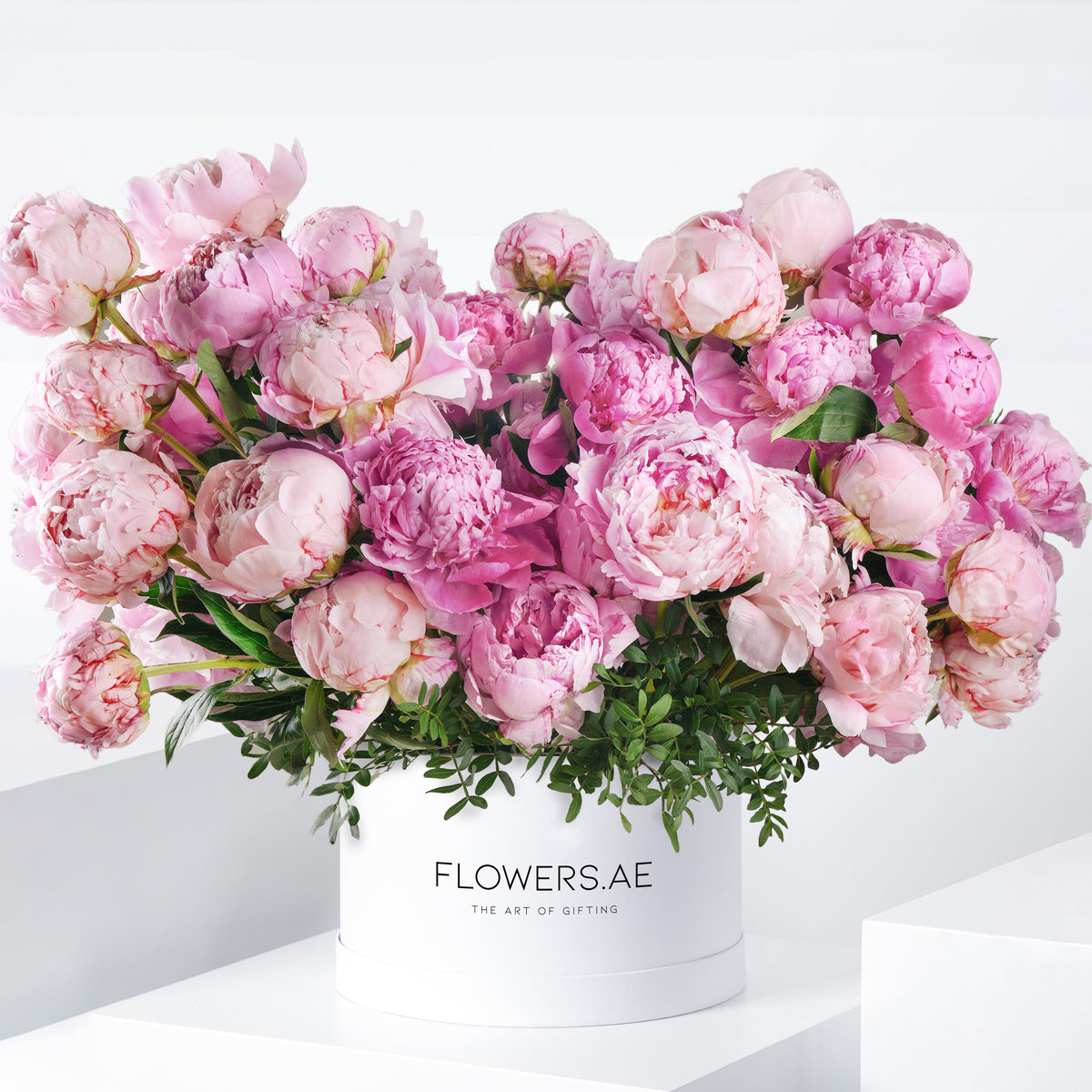 50 Pink Peony Hatbox