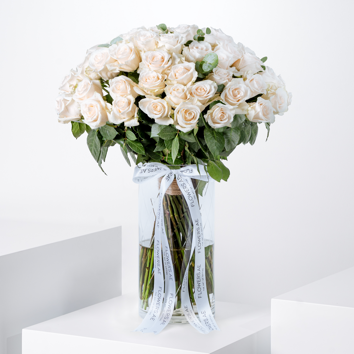 Valentine 50 White Roses  Vase