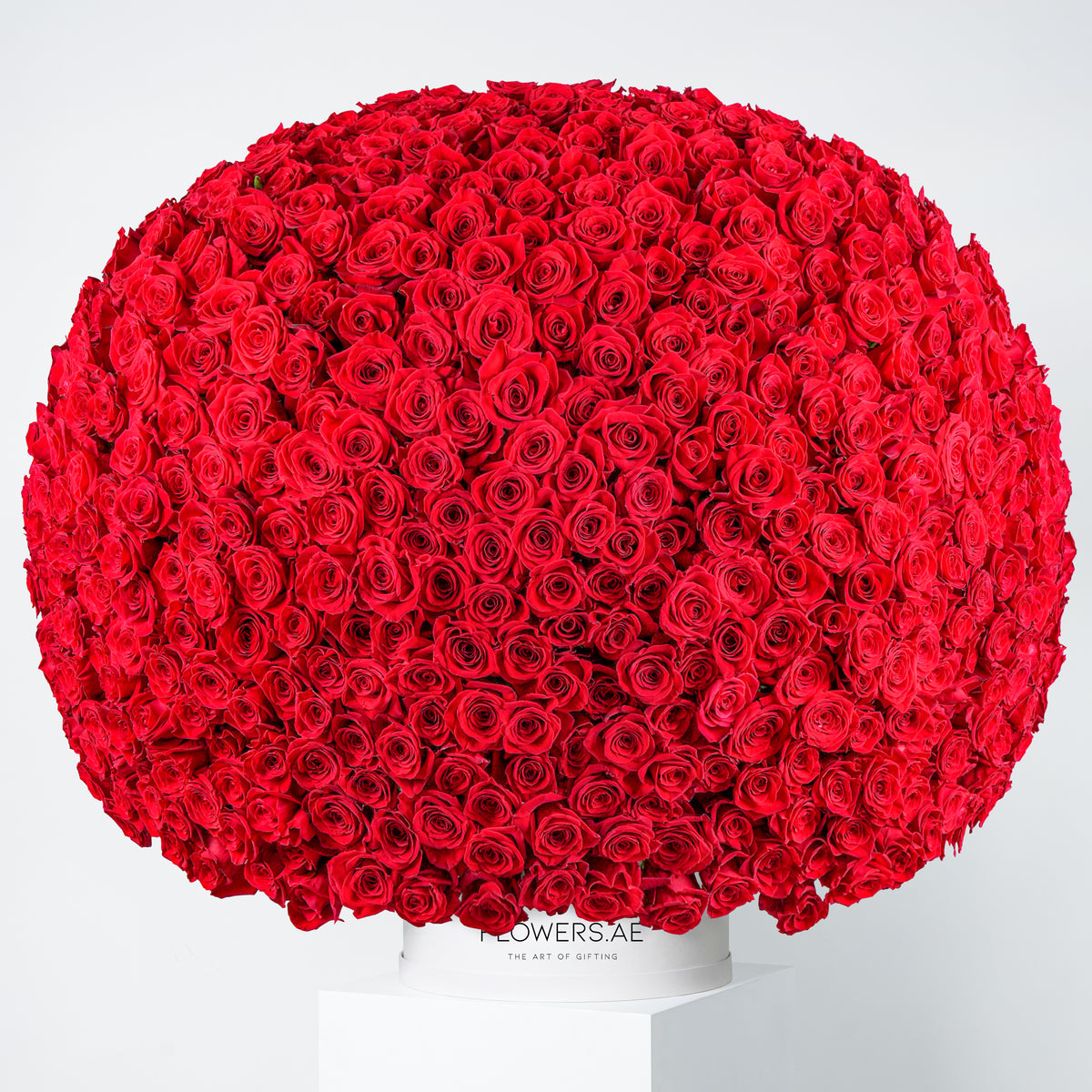 999 Red Roses  Hatbox