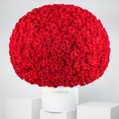 Valentine 999 Red Roses - Hatbox