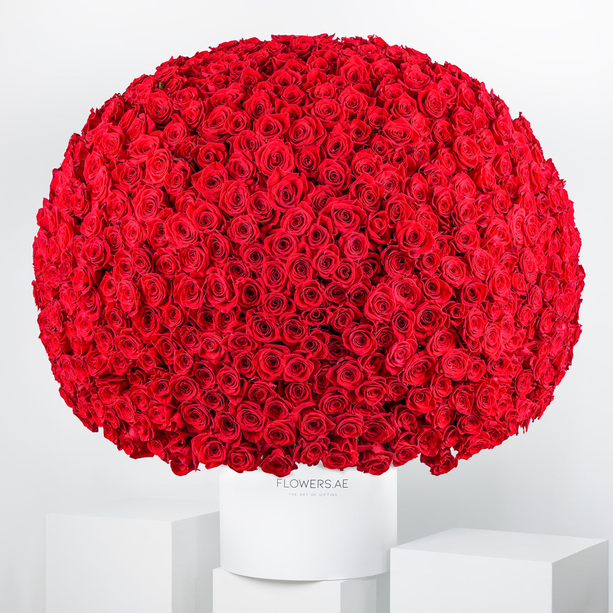 Valentine 999 Red Roses - Hatbox