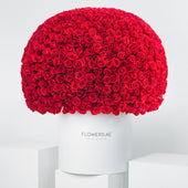 999 Red Roses  Hatbox