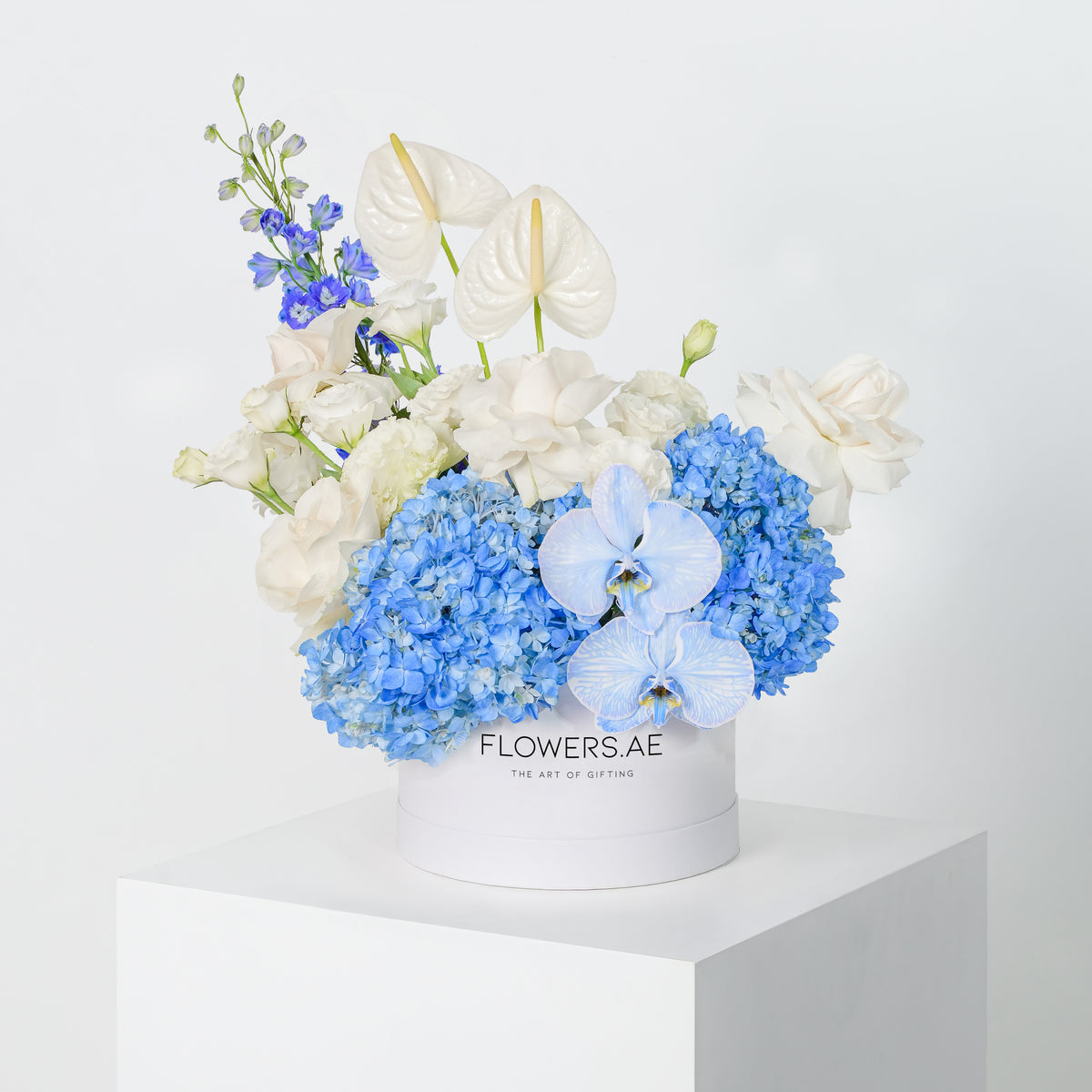 Birthday Elegant Blues Hatbox