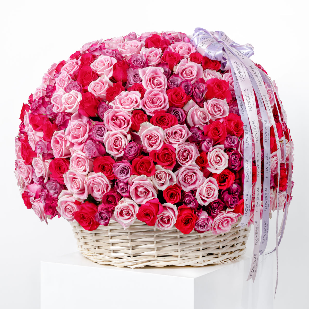 500 Blush Roses Basket