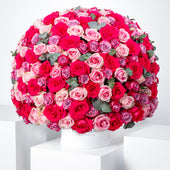 365 Blush Roses  Hatbox