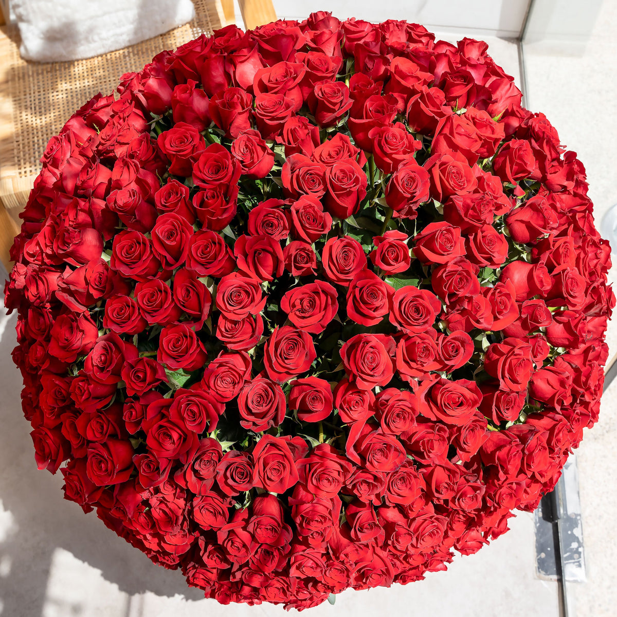 Valentine 500 Red Roses - XXL