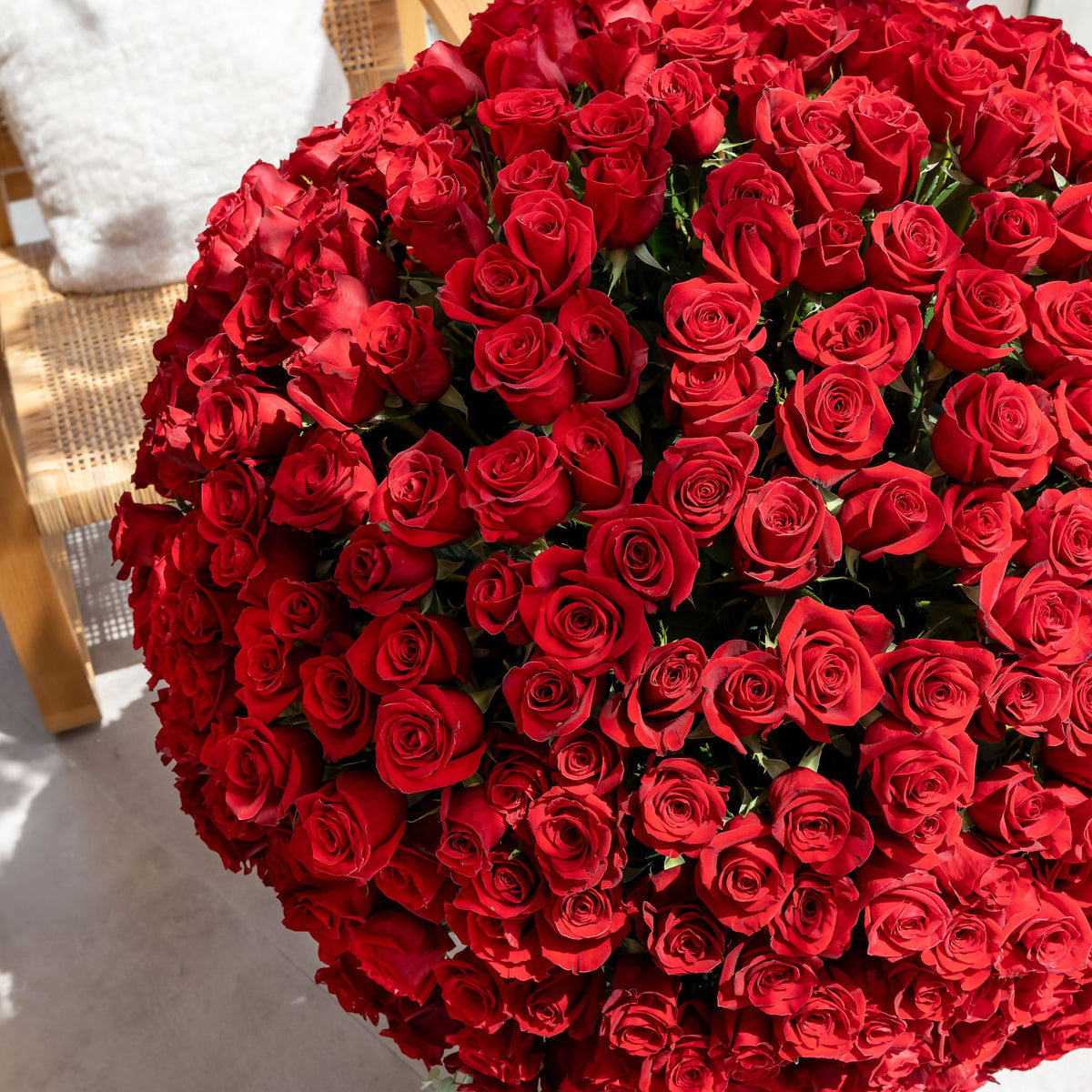 Valentine 500 Red Roses - XXL