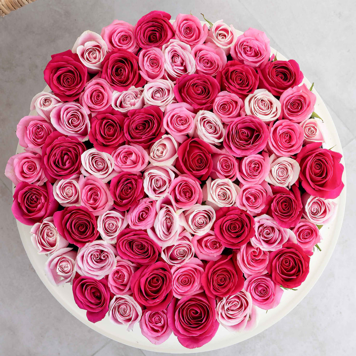 XXL Blush Roses Hatbox