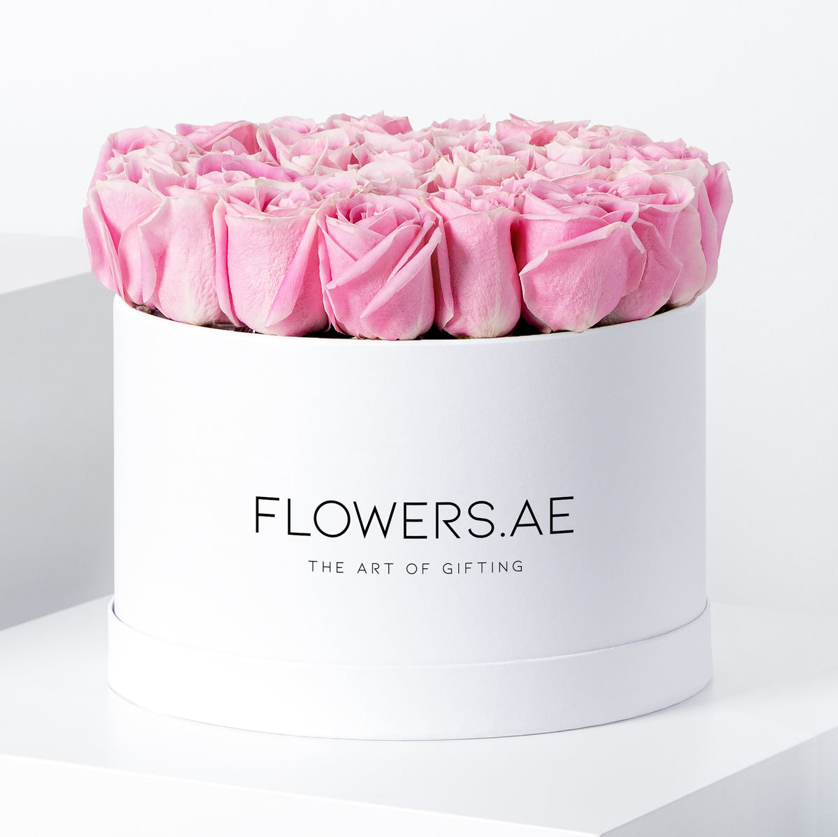 Pink Roses - Hatbox