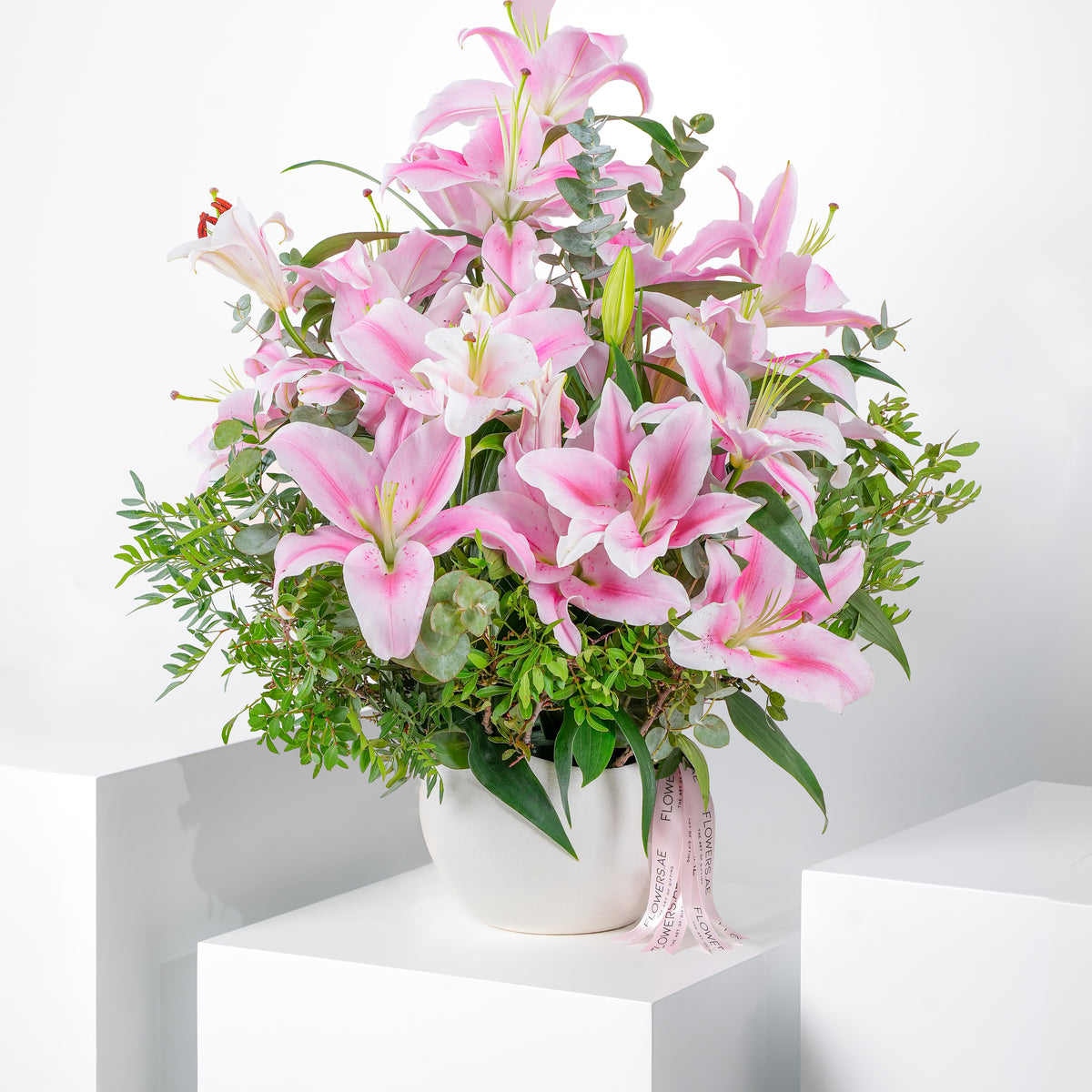 Pink Scented Lily