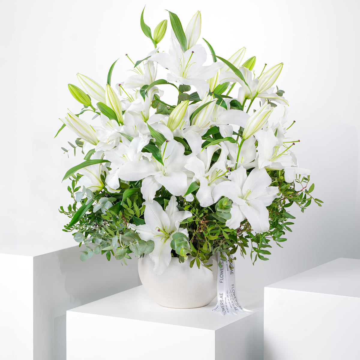 Get Well White Scented Lily