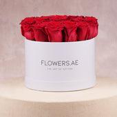 Red Roses  Hatbox