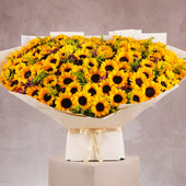 Luxury Sunflower Grand