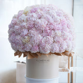 Royale Pink Hydrangeas