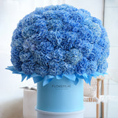 Royale Blue Hydrangeas