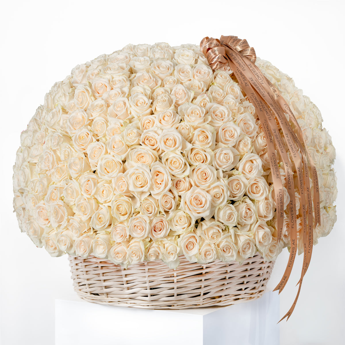 500 White Roses Basket