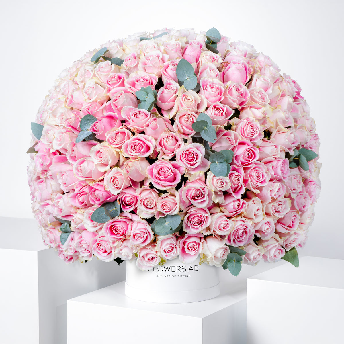 365 Pink Roses Hatbox