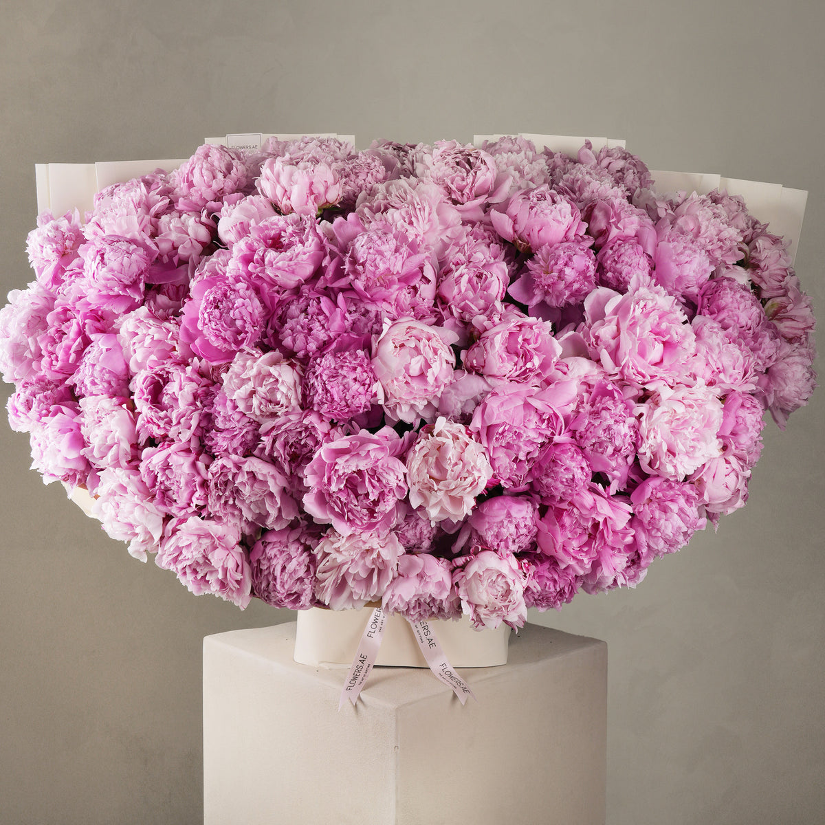 100 Pink Peony