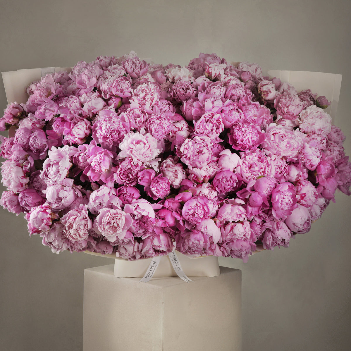 200 Pink Peony