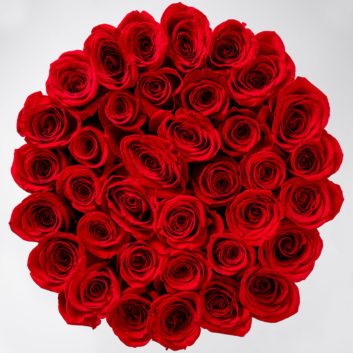 Red Roses - Hatbox