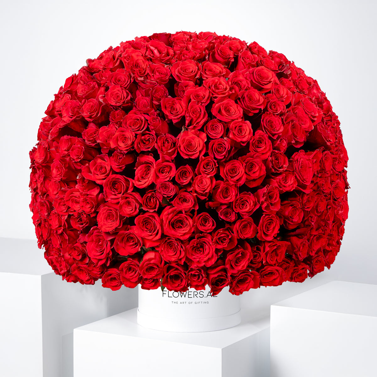 365 Red Roses Hatbox