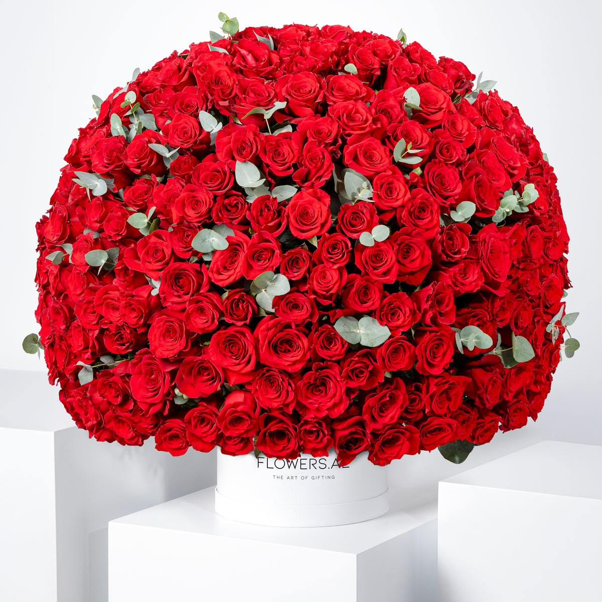 365 Red Roses Hatbox