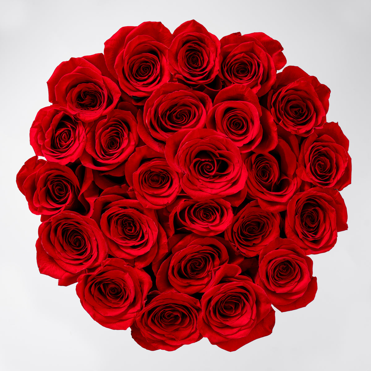 Red Roses - Hatbox