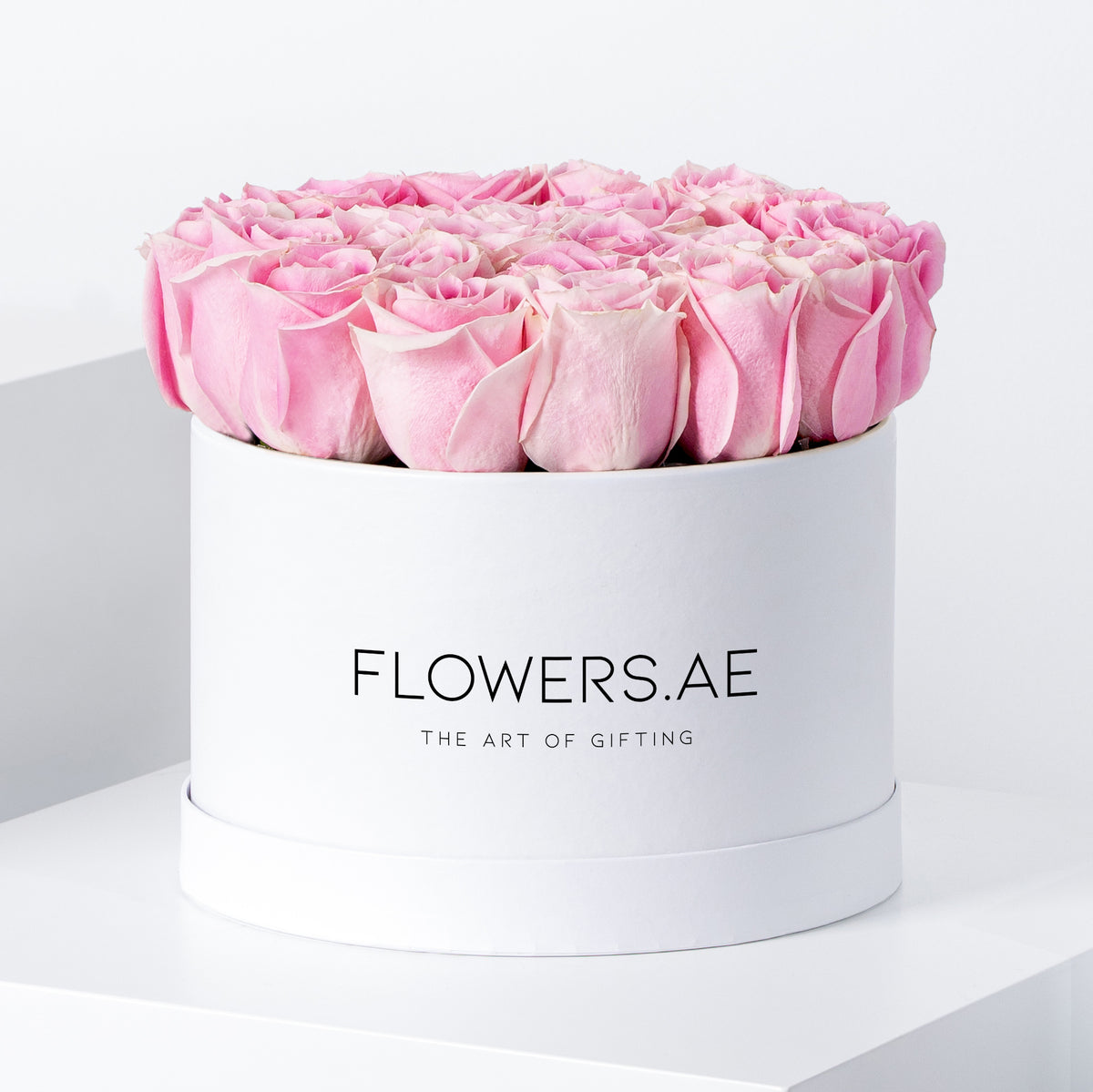 Pink Roses - Hatbox