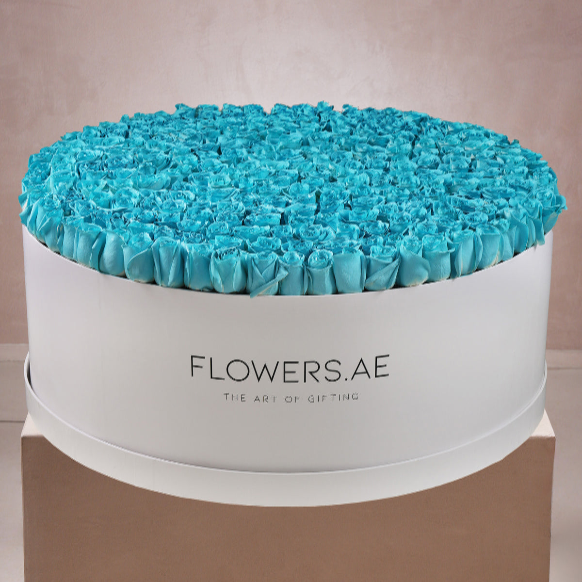 500 Tiffany Blue Roses  XXXL