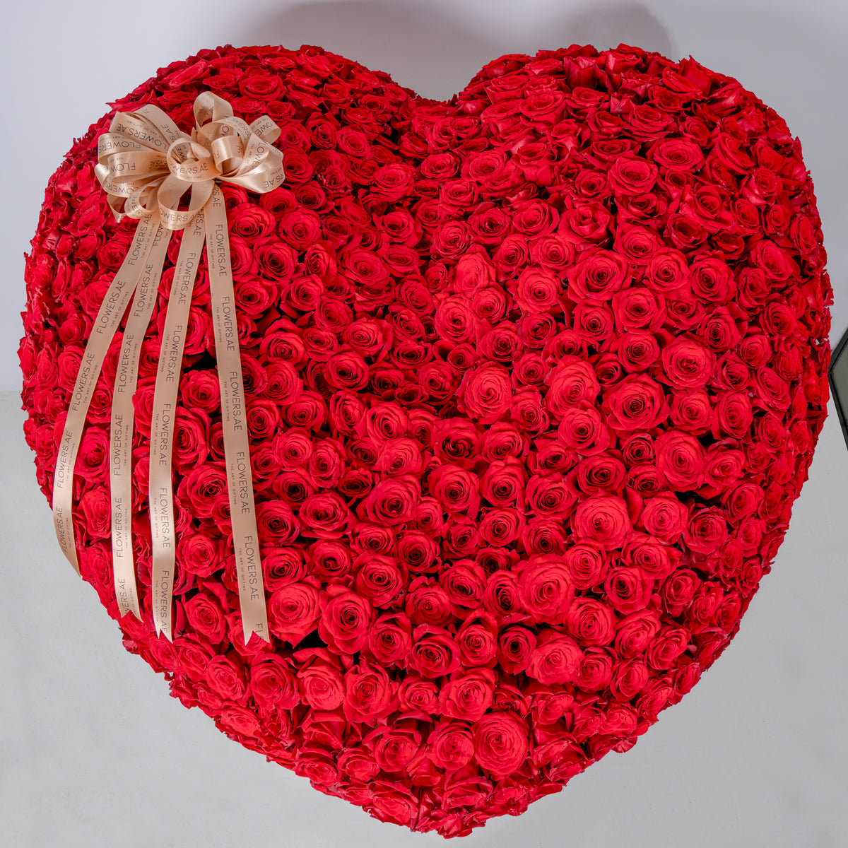 3D Heart - XXXL Hatbox