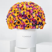 Royale Vibrant Hatbox