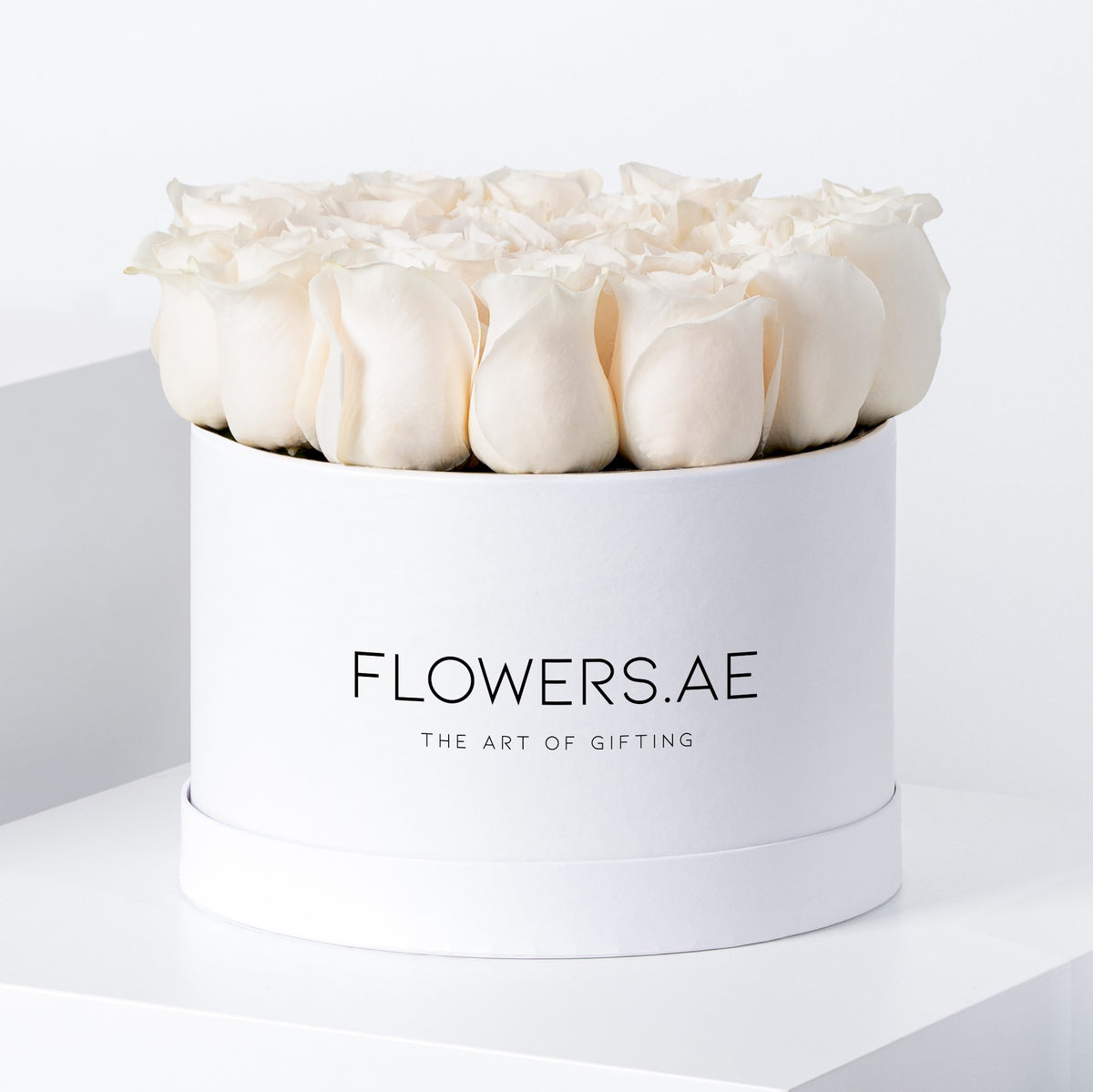 White Roses - Hatbox