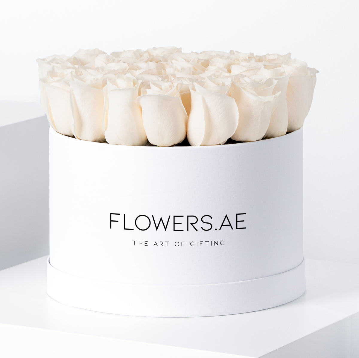 White Roses - Hatbox