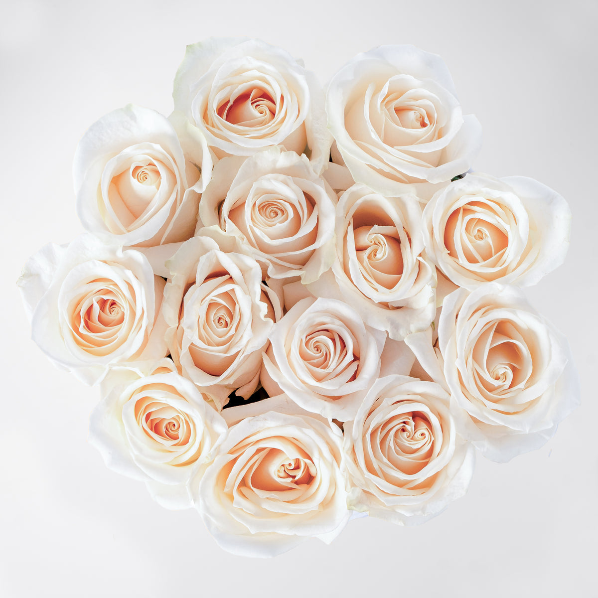 Petite White Roses  Hatbox